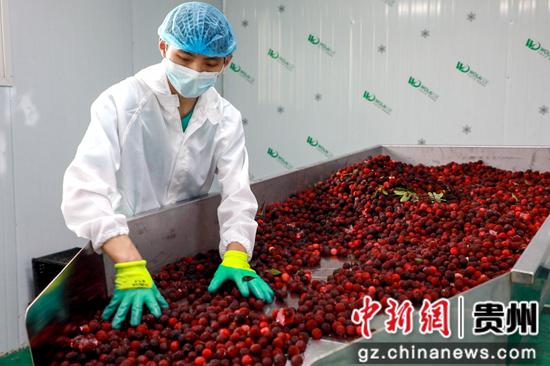 观山湖区发展液经济 探索以毛纱及针织布印染引领乡村振兴新路径